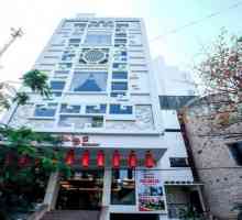 Hotel Den Long Do Hotel 3 *, Vietnam, Nha Trang: Prezentare generală, descriere, specificații și…
