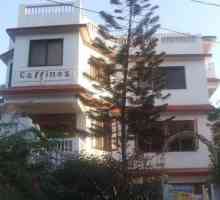 Gaffinos Beach Resort 2 * (India, Goa): comentarii și recenzii ale hotelurilor