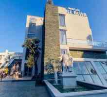 Hotel Vile Oliva 4 * (Petrovac, Muntenegru): prezentare generală, descriere și recenzii ale…