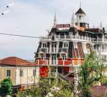 Hotel `Villa Owl`, Abhazia: descriere, caracteristici, camere, locație și comentarii