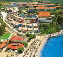 Hotel Zante Imperial Beach Hotel 4 * (Grecia / Insula Zakynthos): poze, galerie imagini si poze din…