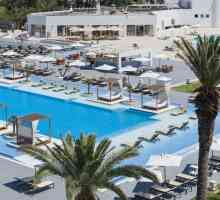 Hoteluri Tunis: opinie, descriere, evaluare