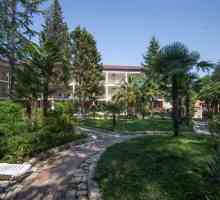 Hoteluri în Abhazia. Abhazia: hoteluri all inclusive. Cele mai bune hoteluri din Abhazia
