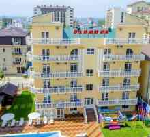 Hoteluri Vityazevo `All Inclusive`: o prezentare generală, caracteristici și…