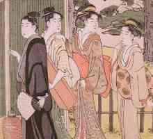 Deschiderea Japoniei. Istoria Japoniei