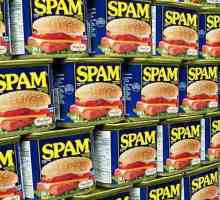De unde a apărut cuvântul "spam"? origine