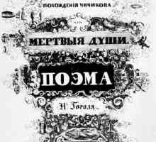 Atitudinea lui Chichikov față de Manilov. Poem N.V. Gogol `Souls Dead`