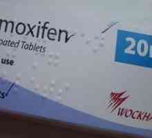 Recenzii: "Tamoxifen" în culturism și medicină. Eficacitatea și efectele secundare ale…
