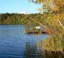 Lacurile din regiunea Nizhny Novgorod. Scurta descriere a celor mai bune rezervoare pentru pescuit…