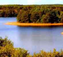 Lacul Krivoye: rezervația hidrologică din Belarus și așezarea urbană din Ucraina