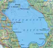 Lacul Ladoga: descriere, adâncime, relief, pește