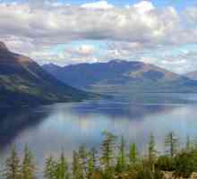 Lacul Lama: descriere și caracteristici