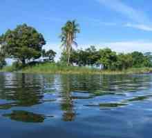 Lacul Nicaragua: descrierea iazului. Lacul Nicaragua și locuitorii săi îngrozitori