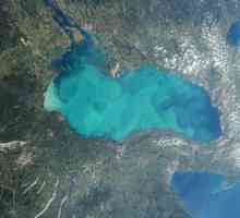 Lacul Ontario și ecosistemul său