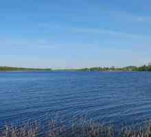 Lacul Orlinskoe: o descriere a rezervorului. Dăruire de viață și floră a Lacului Orlinsky