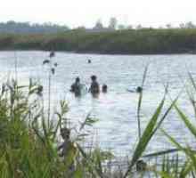 Озеро Пеленкино, грязи лечебные: отзывы о результате