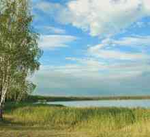 Lacul Podbornnoye Regiunea Chelyabinsk: noroi de vindecare aproape sub ferestrele casei