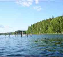 Lacul Pskovskoe: fotografie, agrement și pescuit. Opinii ale restului pe lacul Pskov
