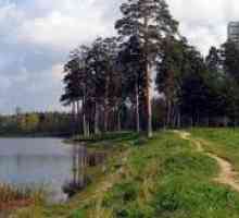 Lacul Școlii din Zelenograd: o ode la "Waterpipe"