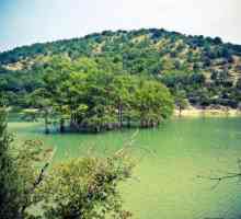 Lacul Sukko (Anapa) - copacii de chiparos din Teritoriul Krasnodar