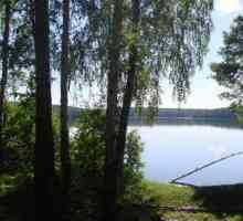 Lacul Tashkul: Recreere și pescuit în regiunea Chelyabinsk