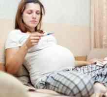 Foliile în timpul sarcinii în stadiile incipiente. Ce medicamente pot fi insarcinate?