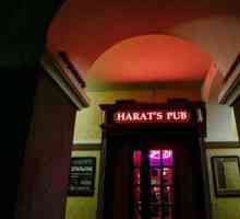 Pub `Harats` în Ufa: recenzii și meniu