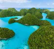 Palau - recenzii ale turiștilor. Unde este Palau? Restul turismului