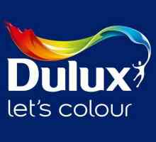 Paleta de culori Dulux: descriere, caracteristici ale aplicației și recenzii