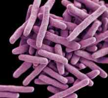 Tuberculoză cu tuberculoză: cât de multe vieți, cum este transmis? Ce este tuberculoza?