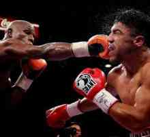 Puncher este un boxer-puncher