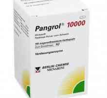 `Pangrol 10000`: instrucțiuni pentru copii, recenzii, analogi