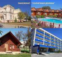 Пансионат `Солнечная долина` (Крым, Оленевка): обзор, особенности и отзывы