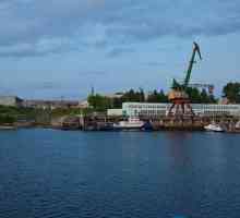 PJSC `Șantierul naval Yaroslavl`: istorie, producție, contacte