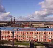 PJSC `Motovilikhinskiye Zavody`, Perm: istorie, descriere, produse