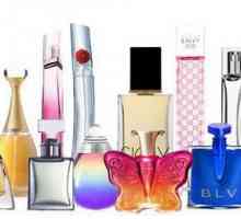 Parfumuri Z-SHOP: recenzii clienți, gamă de produse și produse