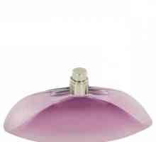Parfum apa `Calvin Klein Euphoria` - parfum de seductie