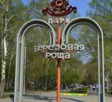 Park `Birch Grove `(Novosibirsk): istorie, recenzie, comentarii