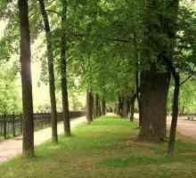 Parcul Yubileiny (Yaroslavl): un loc minunat pentru odihnă