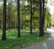Parcul (Mytishchi) - parcul orașului de cultură și odihnă