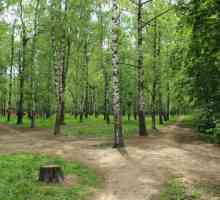 Parcul Pushkin din Nižni Novgorod: istorie și modernitate