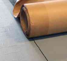 Izolație cu aburi pentru un tavan în podea din lemn: materiale, instalare, recenzii