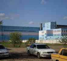 Fabrica de tractoare Pavlodar: istoria tristă a gigantului de producție