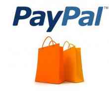 PayPal: ce este, cum să utilizați, cum să configurați? Comentarii despre sistemul de plăți PayPal
