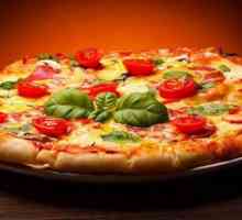 Cuptoare profesionale pentru pizza: recenzii, fotografii, instrucțiuni, dimensiuni. Mini cuptor…