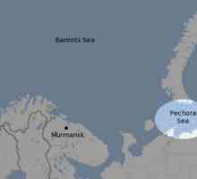 Pechora Sea: descriere generală și locație