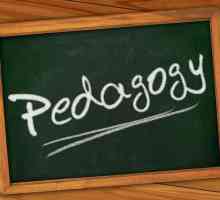 Pedagogie - ce este? Conceptul de "pedagogie". Pedagogia profesională
