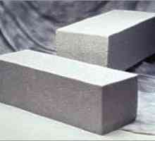 Spumă de beton sau beton gazos: ce material să alegeți pentru a construi o casă?