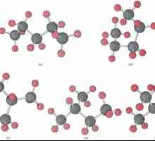 Pentan: izomeri și nomenclatură
