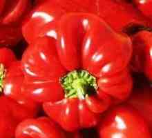 Pepper `Gift of Moldova` - sfaturi simple de viață de zi cu zi